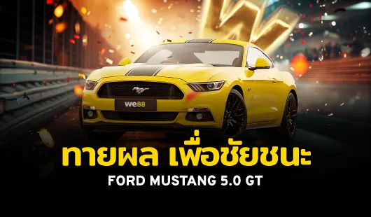 th_9edSTntF_20250110161553